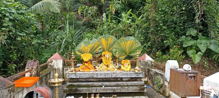 ayilyam kavu